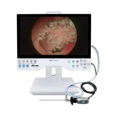Горячая продажа 15,6 дюйма Full HD интегрированная эндоскопическая камера и дисплейная система для лапароскопии операционной