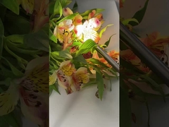 Камера медицинского эндоскопа TU-D100A 4K со светодиодом мощностью 100 Вт для ЛОР и гинекологии